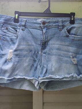 YMI Light Blue Distressed Denim Shorts
